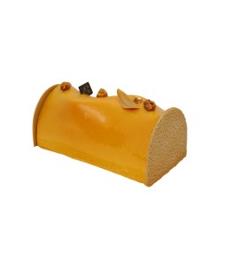 Bûche glacée PITTSBURGH