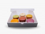 Coffret de Grands Macarons Glacés N°1