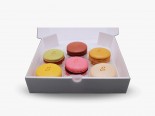 Coffret de Grands Macarons Glacés N°2