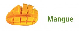 2,5L Mangue BIO