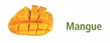 2,5L Mangue BIO