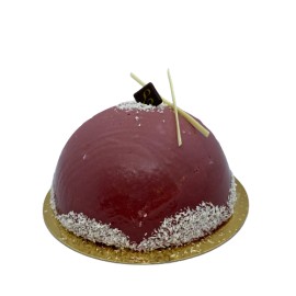 Dôme glacé MANILLE